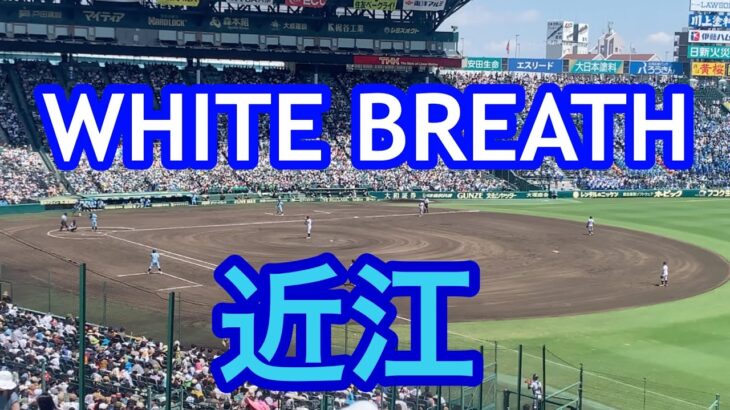 【近江】WHITE BREATHブラバン甲子園 応援歌 2022夏 第104回全国高校野球選手権大会