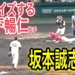 カープ森下暢仁投手がスクイズするも坂本誠志郎捕手が好フィールディング