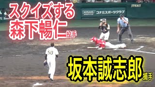 カープ森下暢仁投手がスクイズするも坂本誠志郎捕手が好フィールディング