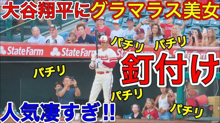 グラマラス美女＆美少女達が大興奮でお出迎え‼︎【大谷翔平人気】大谷選手を目の前にしたファン達の大興奮＆写真撮影会が凄かった！