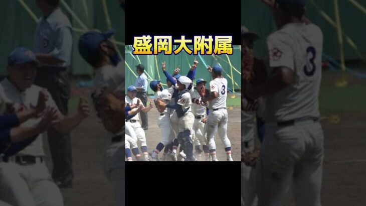 岩手県高校野球の強豪校#甲子園 #選手権 #ランキング #勢力図 #強さ