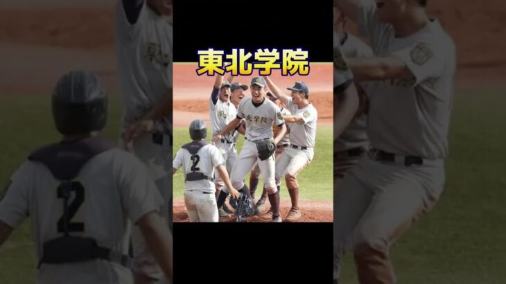 宮城県高校野球の強豪校#甲子園 #選手権 #ランキング #勢力図 #強さ