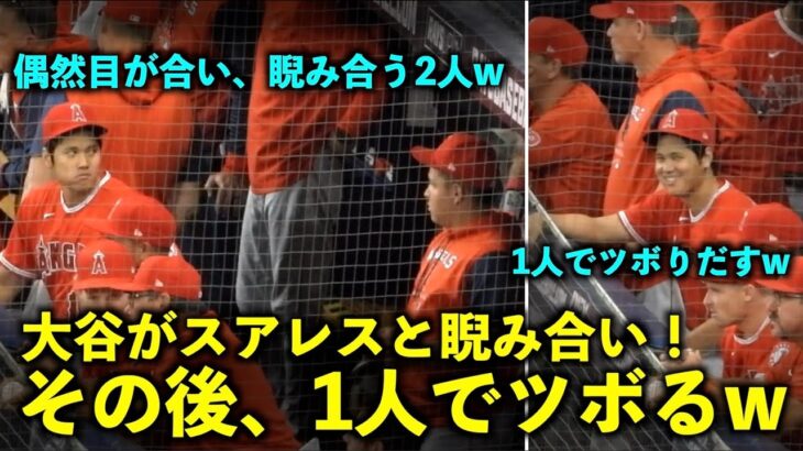 オモロすぎw 大谷翔平がスアレスと睨み合い、その後1人でツボる大谷さんw エンゼルス【現地映像】8月23日 レイズ第1戦