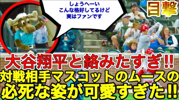 対戦相手のマスコットが実はファン？笑【大谷翔平とマスコット】マリナーズのマスコットムースが大谷選手に必死で手を振る姿が健気で可愛すぎたw現地8月5日