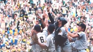 【第104回全国高等学校野球選手権大会】  甲子園エンディング