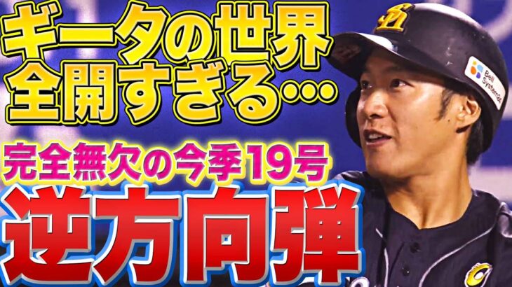 【全開ギータ】柳田悠岐『逆方向に“超ひっぱる” 豪快すぎる今季19号』