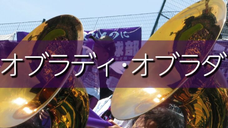 天理 オブラディ・オブラダ 応援歌 2022夏 第104回全国高校野球