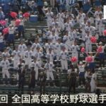 明豊  晴伝説 (湘南乃風) 高校野球応援 2022夏【第104回 全国高等学校野球選手権大会】