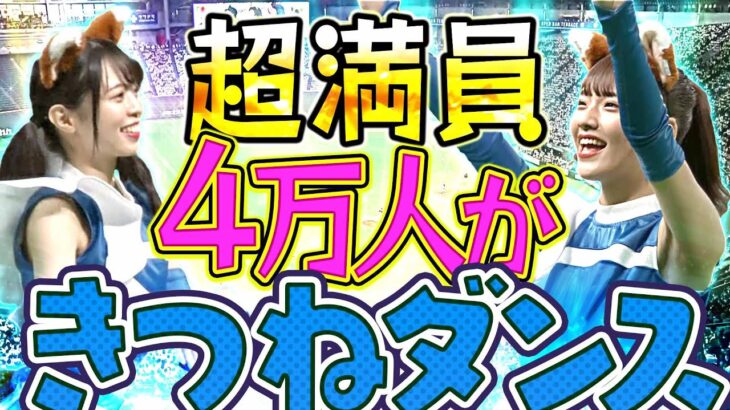 【超満員】勢い止まらぬ『4万人で楽しくきつねダンス』