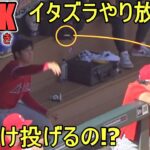 イタズラやりたい放題！KSGK【大谷翔平選手】Shohei Ohtani Prankster At Dugout vs Twins 2022