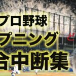 【続行不可】試合中断プロ野球ハプニング集【犬猫鳥に花火、飛行機魚全部まとめて珍プレー】