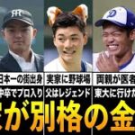 【御曹司】実家が金持ちすぎるプロ野球選手たち。あの選手の父親は大企業の創業者だった…