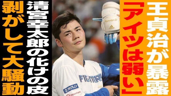 【プロ野球】「私を超える？彼では無理でしょｗ」清宮幸太郎の発言に王貞治が語った本音が…