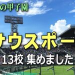 いろんなサウスポー集めました（13校分）2022夏の甲子園・応援歌【高校野球ブラバンメBGMメドレー】