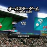 オールスター2015☆セリーグ（藤浪晋太郎）ＶＳパリーグ（則本昂大）☆甲子園【PS3】プロ野球スピリッツ2015