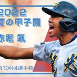 【甲子園】2022夏⚾ファインプレー集丨第104回高校野球選手権大会