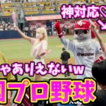 【衝撃3選】野球どころじゃない韓国プロ野球が凄すぎたw。inソウル(韓国縦断旅#8)