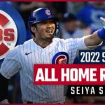 【MLB】🇯🇵カブス 鈴木誠也 2022シーズン全ホームラン集！！