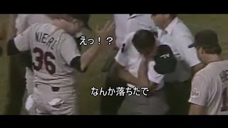 プロ野球 試合中にチート行為がバレて退場させられたシーン集