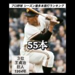 【祝 村上宗隆選手５６本】日本プロ野球シーズン本塁打ランキング