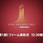 プロ野球年間表彰式「NPB AWARDS 2022 supported by リポビタンＤ」第一部