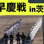 社会人OBも参戦！オールスターメンバーによる早慶戦！【ダイジェスト】