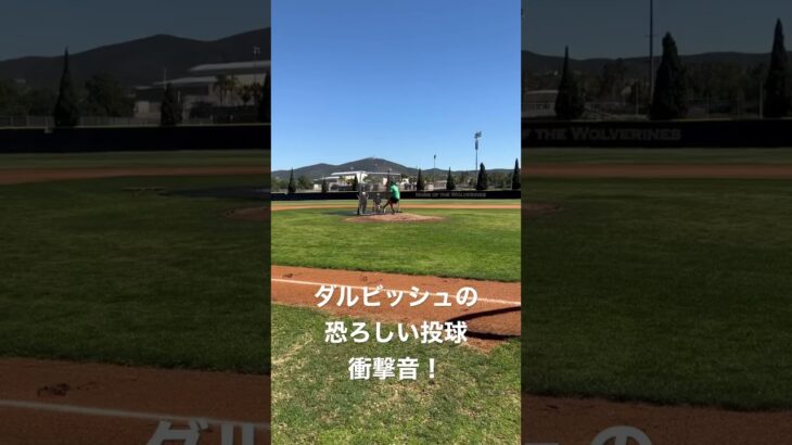 【衝撃音！】ダルビッシュ有の恐ろしい投球 #baseball #mlb #pitcher #プロ野球 #ダルビッシュ有 #11