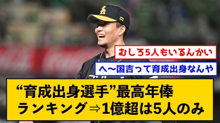 育成出身選手最高年俸ランキング←千賀滉大を筆頭に1億円プレーヤーは5人のみ【なんJコメント付き】