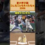 夏の甲子園、こんなこともあったなぁ【2006】