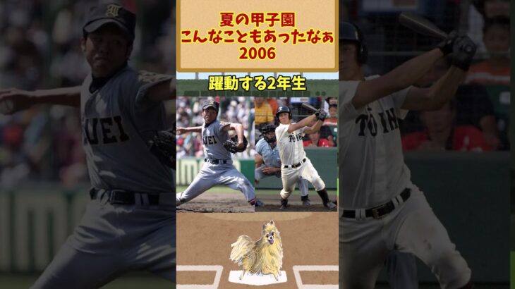 夏の甲子園、こんなこともあったなぁ【2006】