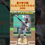 夏の甲子園、こんなこともあったなぁ【2009】