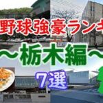 高校野球強豪ランキング #9 ～栃木編～