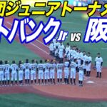 小学生とは思えないハイレベルな試合！！阪神Jr VS福岡Jr！！12球団ジュニアトーナメント！本日横スタ唯一のホームランも！