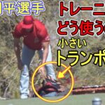 大谷翔平選手はトランポリンをどう使うのか？【トレーニング動画】Shohei Ohtani How to use trampoline on Training