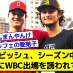 ダルビッシュ「大谷君はWBCに出る気満々でシーズン中からダルさん出ないと困るってずっと誘われてた」【なんJ反応まとめ】