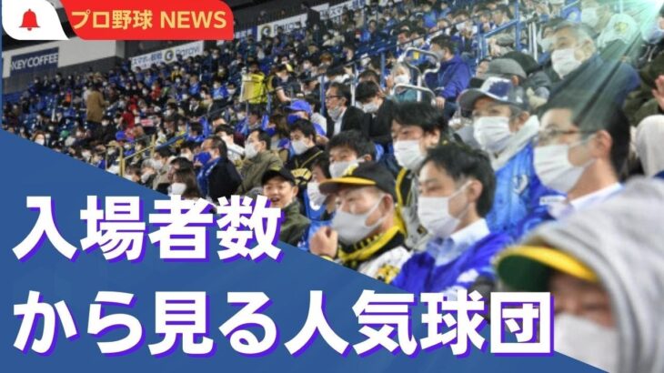 【プロ野球】セリーグ・パリーグ、入場者数から見る人気球団。セリーグ編