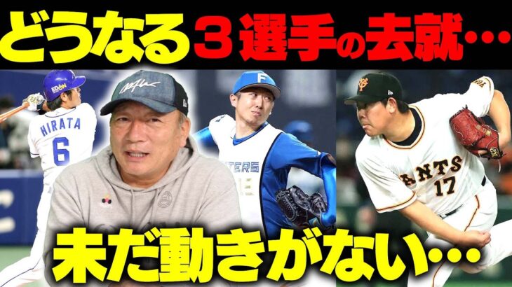 【戦力外】「平田良介」「山口俊」「金子千尋」の去就はどうなる！獲得の動きはあるのか正直に語ります！【プロ野球】