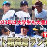 【逸材揃い】155キロ右腕に大型左腕など2023年は大豊作！大学生ドラフト期待度ランキングTOP20！