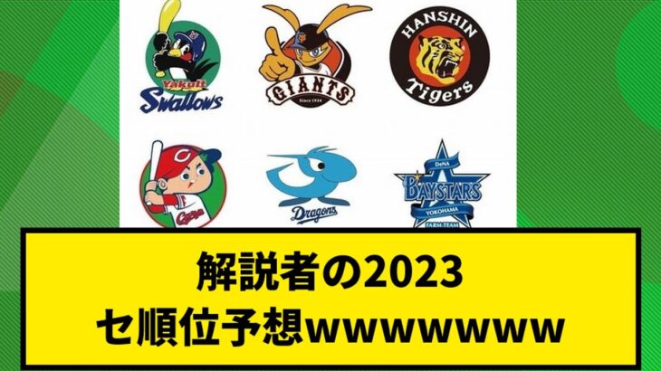 【どう？】解説者の2023セ順位予想wwwwwwwwwwwwwwwwwwwwwwwww【なんJ反応】【プロ野球反応集】【2chスレ】【1分動画】【5chスレ】