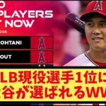 MLB現役選手ランキングに大谷が選ばれてしまうｗｗ【野球2chスレ】