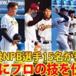 【豪華NPB選手15名が参加】四国出身選手らが「野球王国えひめ」球児にプロの技を伝授！