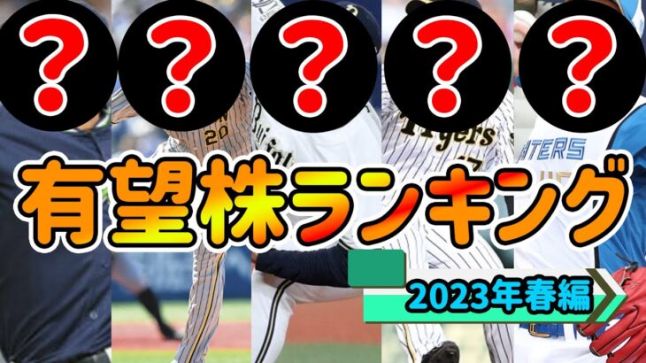 【投手編】次のスターは誰だ！？NPBプロスペクトランキング！！！！【2023年春版】