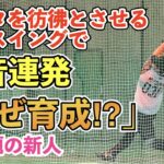 巨人三塚琉生選手の注目度が急上昇！“打球がエグい!!本当に育成６位⁉︎”と自主トレで話題！豪快フルスイングはSB柳田悠岐選手を彷彿！読売ジャイアンツ 新人合同自主トレ