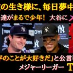 【大谷絶賛】「大谷翔平のことが大好きだ」と公言しているメジャーリーガーTOP１０〜ジャッジ、プホルス、コール、マーシュ【海外の反応】【MLB選手】