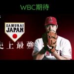 WBC期待　歴代最強メンバーで挑む #野球 #wbc #侍japan #村上様 #ダルビッシュ有 #大谷翔平 #shorts