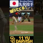 【WBC2023】日本代表ダルビッシュ有・Yu Darvish from JAPAN