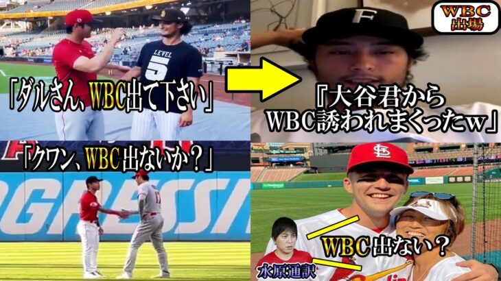 【大谷翔平】大谷「ダルさんはWBCに出てもらわないと困る」色々な選手をスカウトする大谷！ダルビッシュ・ヌートバー・クワンOhtani