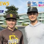 【ファイターズの伊藤大海】憧れのダルビッシュ有と共闘　世界一をめざす　ＷＢＣ代表選出