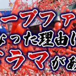 カープファンになった理由＆きっかけ！広島県外出身者の意見歓迎