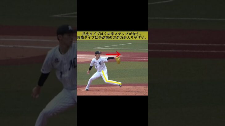 【プロ野球】佐々木朗希選手のピッチングフォームタイプ分析【千葉ロッテ】